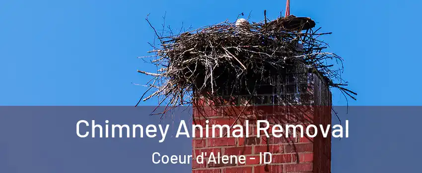  Chimney Animal Removal Coeur d'Alene - ID