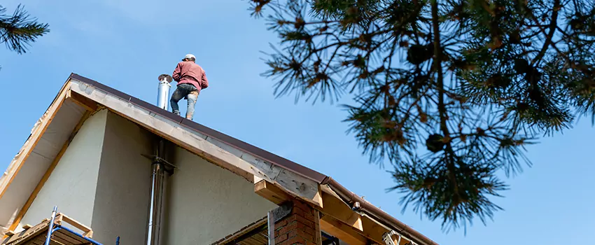 Birds Removal Contractors from Chimney in Coeur d'Alene, ID
