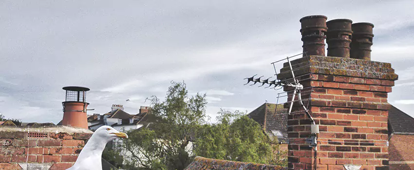 Chimney Cleaning And Restoration in Coeur d'Alene, Idaho